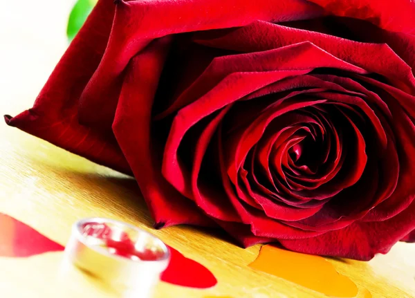 Rosa vermelha e anel de casamento . Fotografias De Stock Royalty-Free