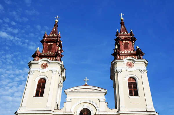 Torres de catedral . — Fotografia de Stock