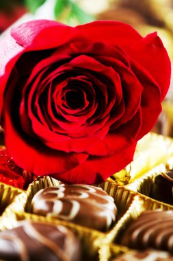 Çikolatalı pralin.