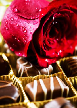 Çikolatalı pralin.