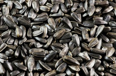 ayçiçeği tohumu.