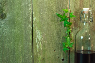 Ivy ve içki ile ahşap mesaj panosu