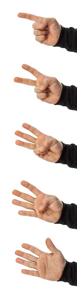 Set van handen tellen 1, 2, 3, 4, 5 — Stockfoto