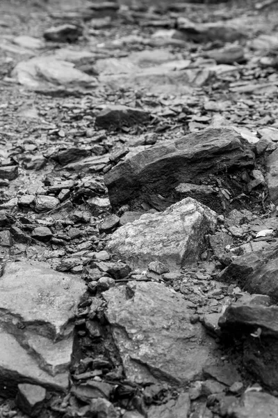 Stone path — Stock Photo, Image