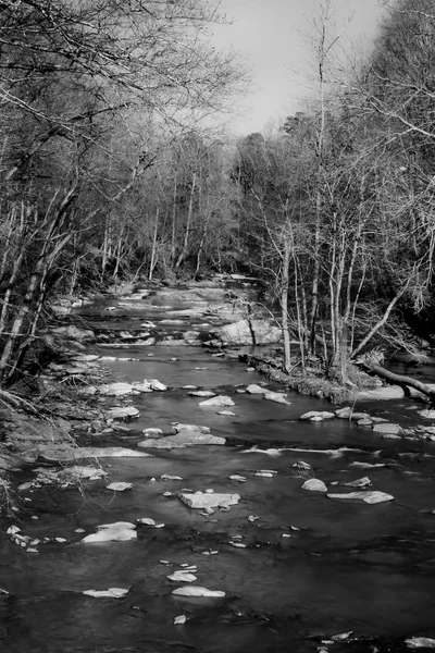 Winter zwart-wit op sope creek — Stockfoto