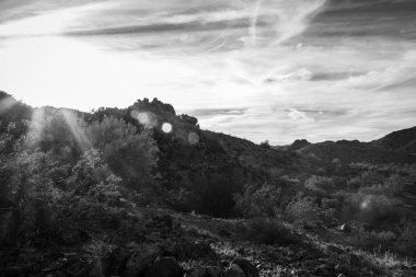 sunsetb & w