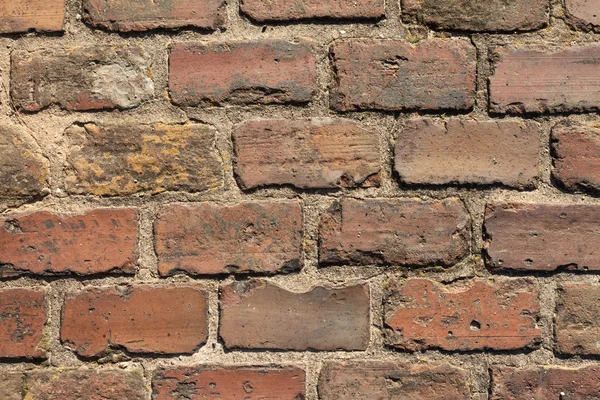 Wandbeschaffenheit — Stockfoto