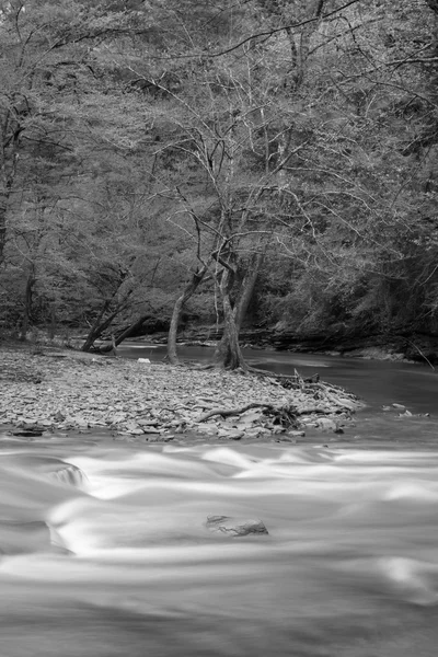 Ruisseau VickeryCreek — Photo