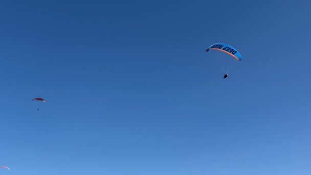 Gleitschirmfliegen Der Türkei Fallschirmspringen Auf Dem Hintergrund Des Himmels Pulversport — Stockvideo