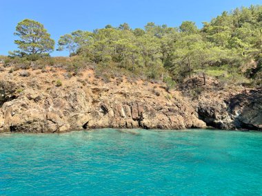 Huş ağacının berrak denizindeki Rocky Adası. Sıcak Akdeniz 'in cennet kıyıları. Okyanusun ortasında kayalar ve ağaçlar.