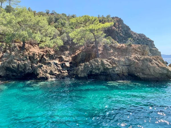 落基岛在清澈的白桦海中 地中海温暖的天堂海岸 海洋中央的岩石和树木 — 图库照片