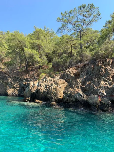 Rocky Island Clear Birch Sea Paradise Coast Warm Mediterranean Sea — 图库照片