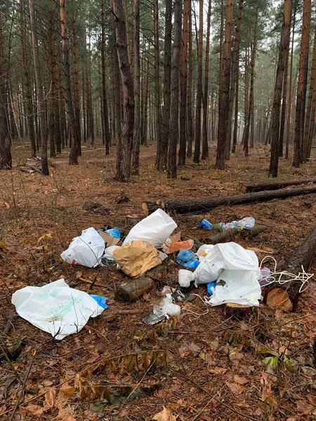 Smetí Odpadků Lese Znečištění Životního Prostředí Lidé Nelegálně Vyhazují Odpadky — Stock fotografie