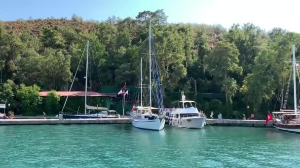 Luxury Sailing Yacht Sails Sea Bay Private Boat Sailing Mid — Video Stock