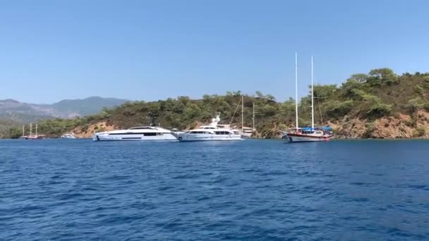Luxury Sailing Yacht Sails Sea Bay Private Boat Sailing Mid — Stock video