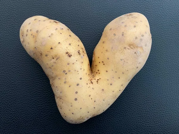 Potatis Form Ett Hjärta Potatisfrukter Ovanlig Form Grönsaker Isolerade Svart — Stockfoto