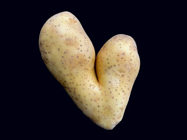 Potatis Form Ett Hjärta Potatisfrukter Ovanlig Form Grönsaker Isolerade Svart — Stockfoto