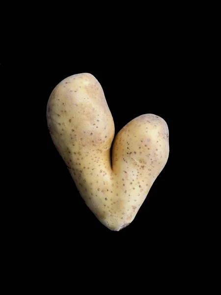 Aardappel Vorm Van Een Hart Aardappelvruchten Met Een Ongewone Vorm — Stockfoto