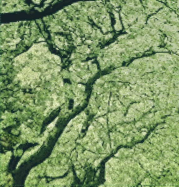 soyut moss yeşil görüntü.