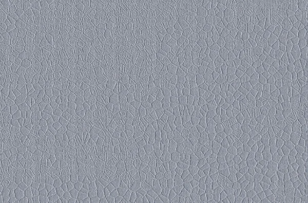 desenli mavi-gri görüntü.