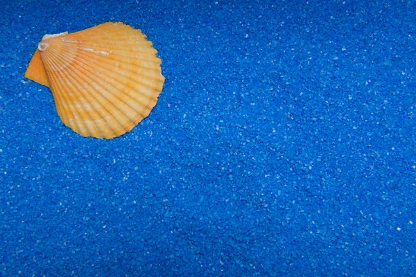 Shell on blue sand — Stock Photo, Image