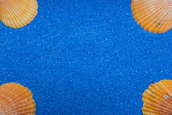 Quadro com 4 conchas na areia azul — Fotografia de Stock