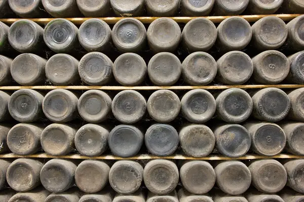 Wine bottles in a wine-cellar