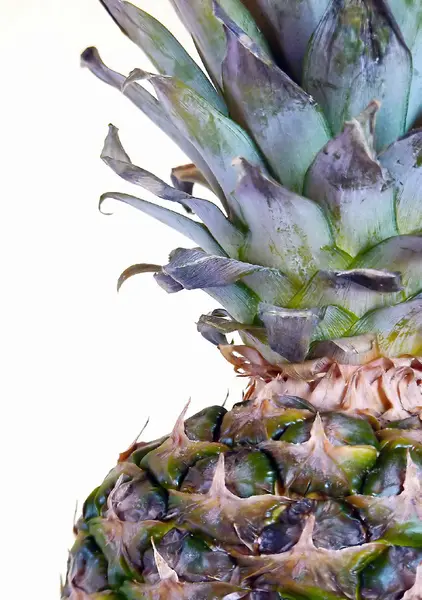 Pineapple Royalty Free Stock Images