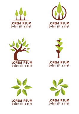 yeşil ve biyografi Tema Tasarım