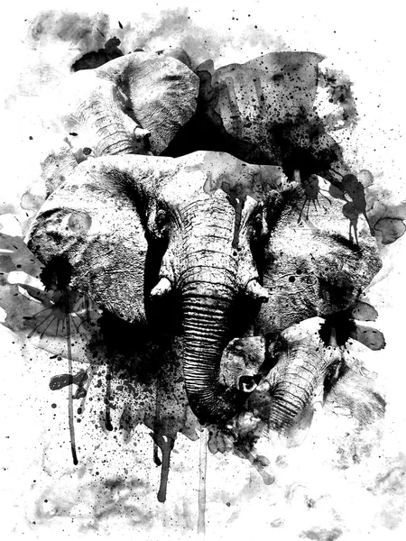 Коллаж из трех слонов — стоковое фото