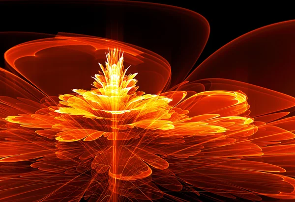 Fiery flower — Stock Photo, Image