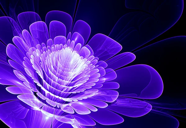 Abstract flower — Stock Photo, Image