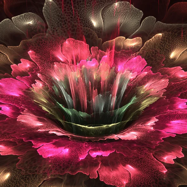 Abstract fractal flower — Stock Photo, Image