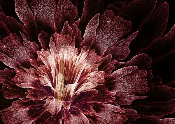 Abstract fractal bloem — Stockfoto