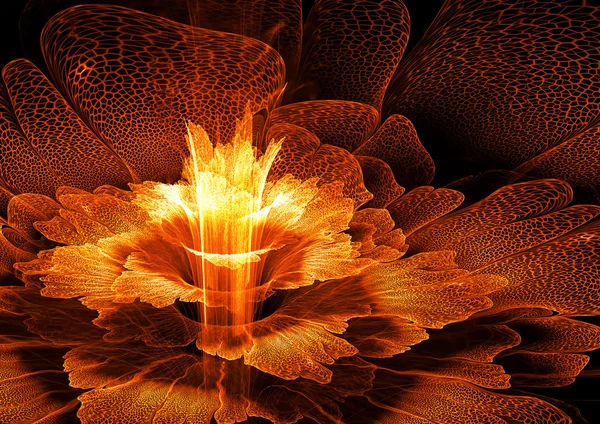 燃えるような花 — ストック写真