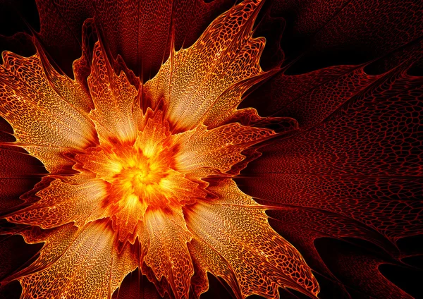 Fiery flower — Stock Photo, Image