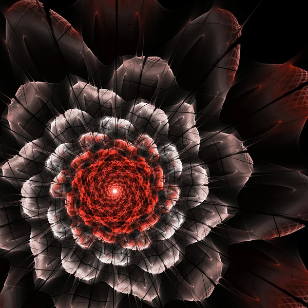 Абстракция фрактального цветка — стоковое фото