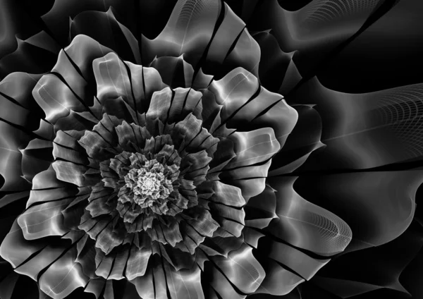 Flor fractal abstrata — Fotografia de Stock