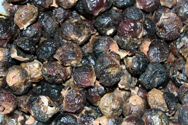 Sapindus Mukorossi Soapberry Indio Muchas Tuercas Jabón Listo Para Ser — Foto de Stock