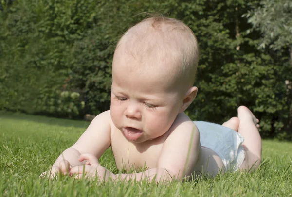 Portrait of the baby of 4 months old. — Stock Photo, Image