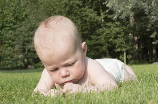 Portrait du bébé de 4 mois . — Photo