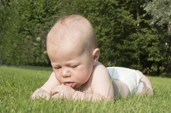 Porträtt av barnet av 4 månader gammal. — Stockfoto