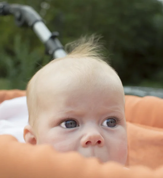生後 4 ヶ月の赤ちゃんの肖像画. — ストック写真