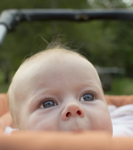 Ritratto del bambino di 4 mesi . — Foto Stock