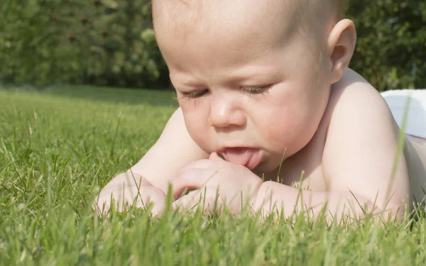 Ritratto del bambino di 4 mesi . — Foto Stock