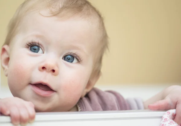 Retrato del bebé de 7 meses de edad . — Foto de Stock