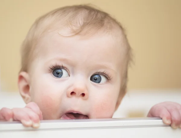 Portret van de baby van 7 maanden oud. Stockafbeelding