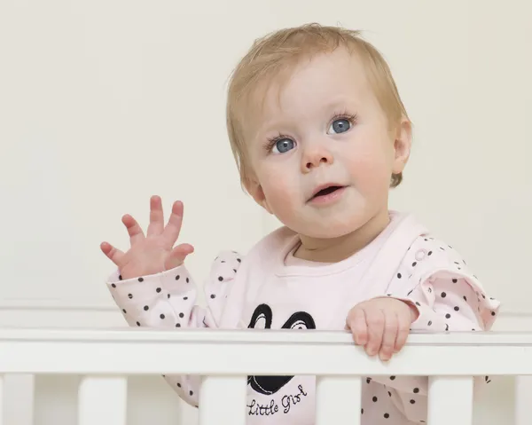 Retrato del bebé de 9 meses . Imágenes De Stock Sin Royalties Gratis