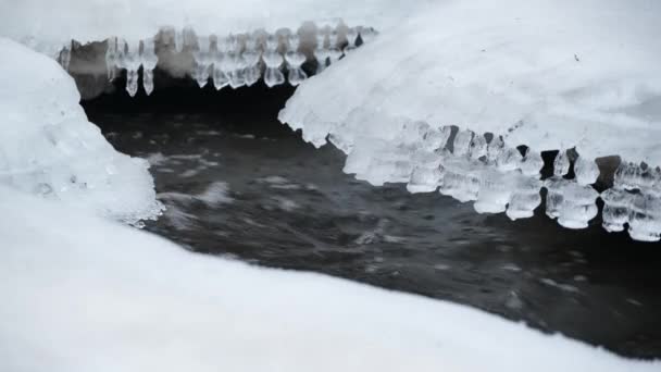 Flux Ruisseau Orageux Entouré Forme Inhabituelle Glaçons Paysage Blanc Enneigé — Video