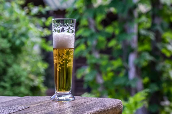 Glass Beer Table Backdrop Greenery — Stock Photo, Image